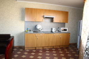 премиум 2-х комнатный (8)